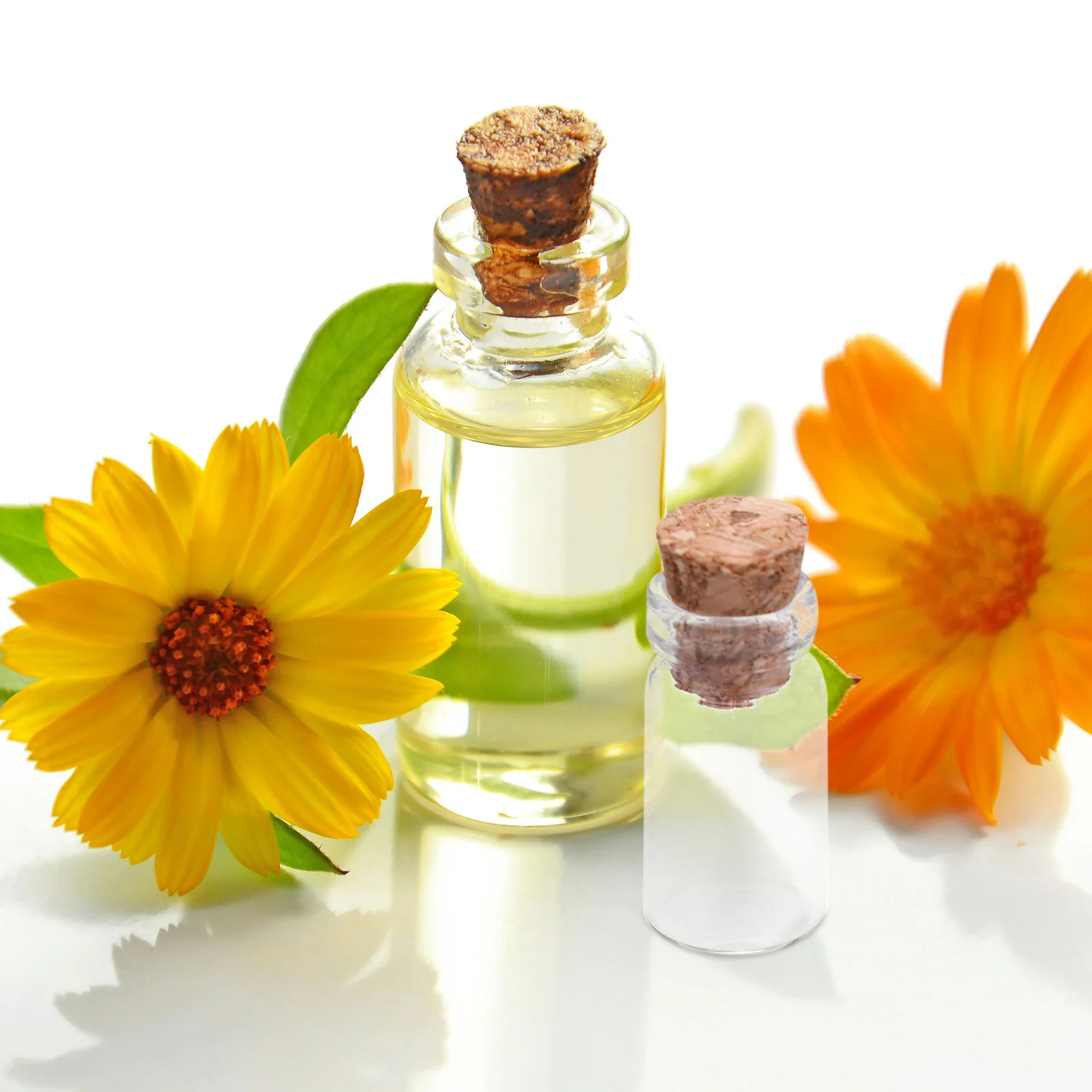 

50Pcs Clear Mini Glass Bottles Natural Wood Cork Ideal for DIY Wish Jars Gemstone Display Sand Art Keepsake Gift Ideas