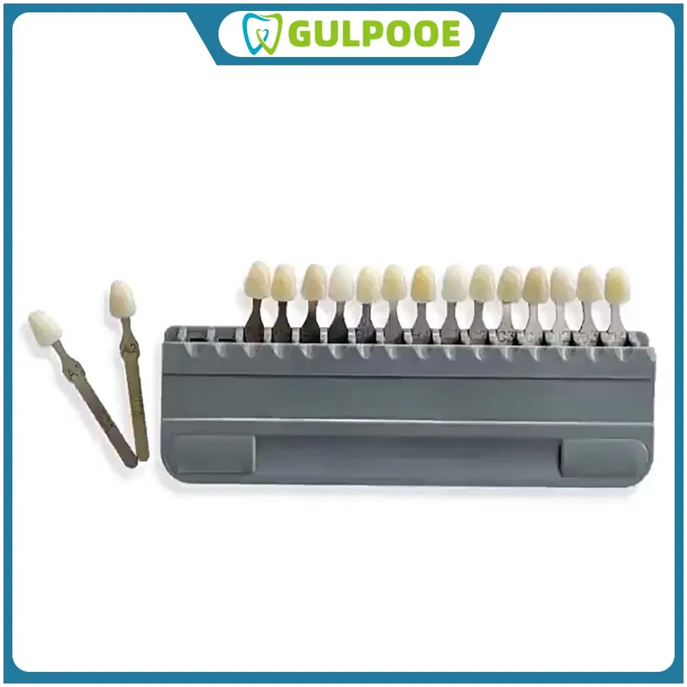 

GULPOOE Dental Equipment Colorimetric Plate Tooth Whitening Products Guide Model Toot Tooth Shape Design Color Scale Products