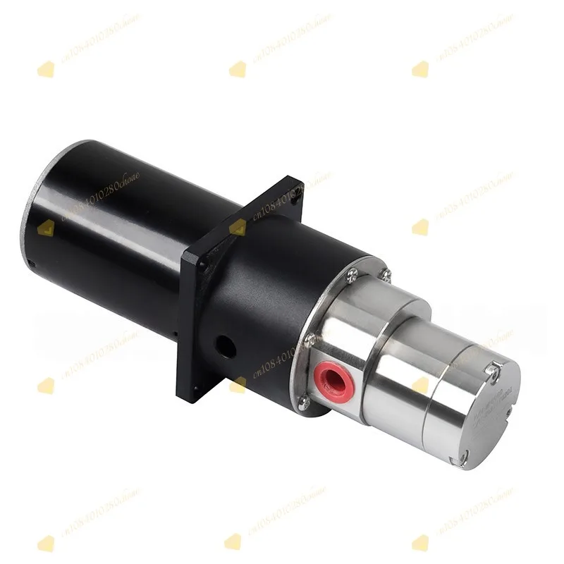 Stainless Steel Self-Priming Pump DC Gear Pump Metering Filling Pump for EV Char