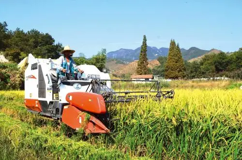 Harga lebih rendah mesin diesel 2 silinder traktor berpendingin air pertanian