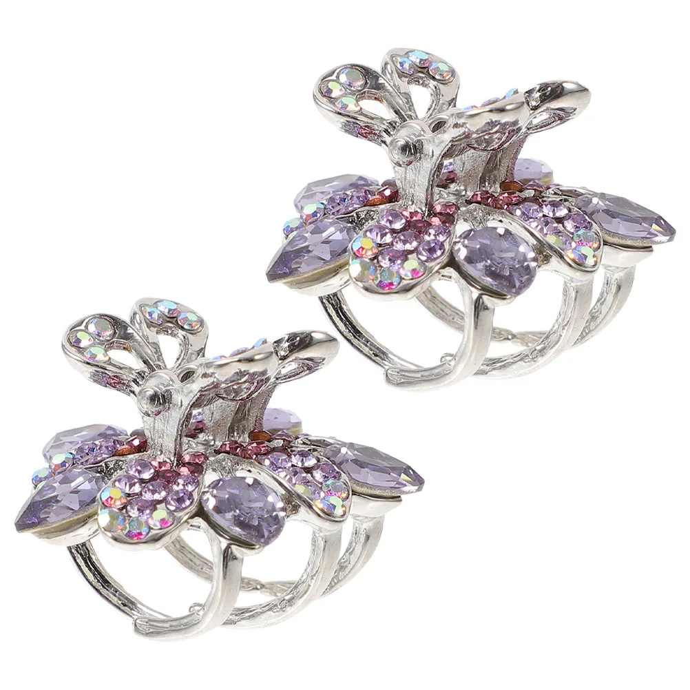 

2pcs Bang Women Accessories Girls Durable Alloy Clips Hair Clips For Kids For Bangs Accessories