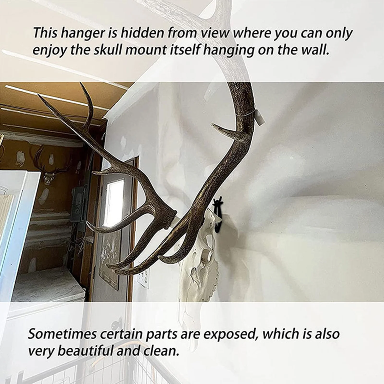 

6Pcs Deer Skull Display Hanger Strong Metal Wall Hook for Skull Collection Rack Craft Display Home Wall Decor Fixture