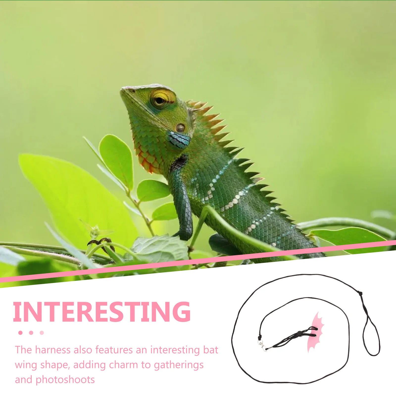 

Lizard Leash Adjustable Reptile Harness Durable Comfortable Small Pet Outdoor Accessory Bearded Dragon Harness Rope