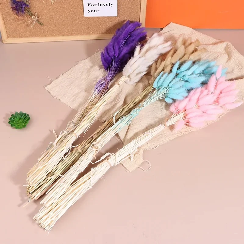 

60pcs Nature Bunny Rabbit Tail Grass Dried Flower Bouquet Wedding Party Decor Fluffy Pampas Christmas Diy Floral Arrangement