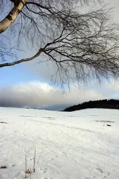 4 個 60mm レーシングタイヤ 14mm ホイールヘックス付き 1/10 タミヤ F1 RC カーアップグレードパーツ用