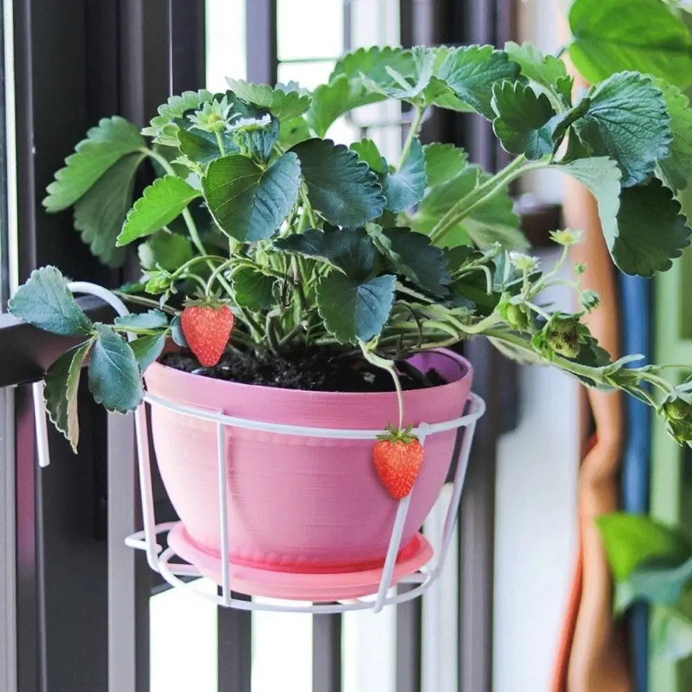 Simple Iron Flower Pot Stand Hanging Type Wall-Mounted Potted Plant Hanging Bracket Round Flower Pot Holder Home