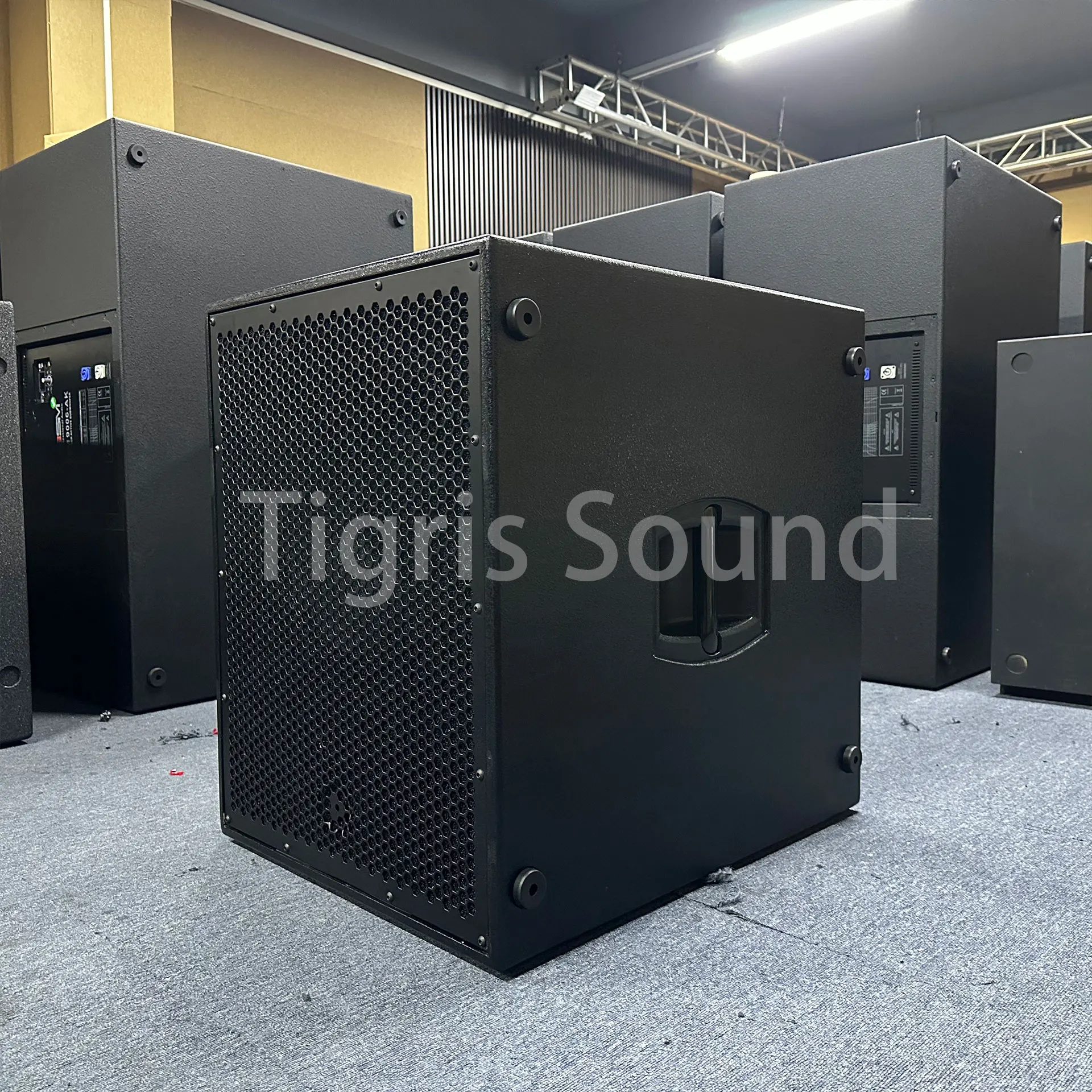8004 Compact Install 18in Active-free Loudspeaker for Multi-purpose Venue Fixed Stage Audio Solution
