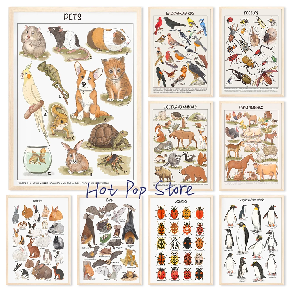 Educational Posters…