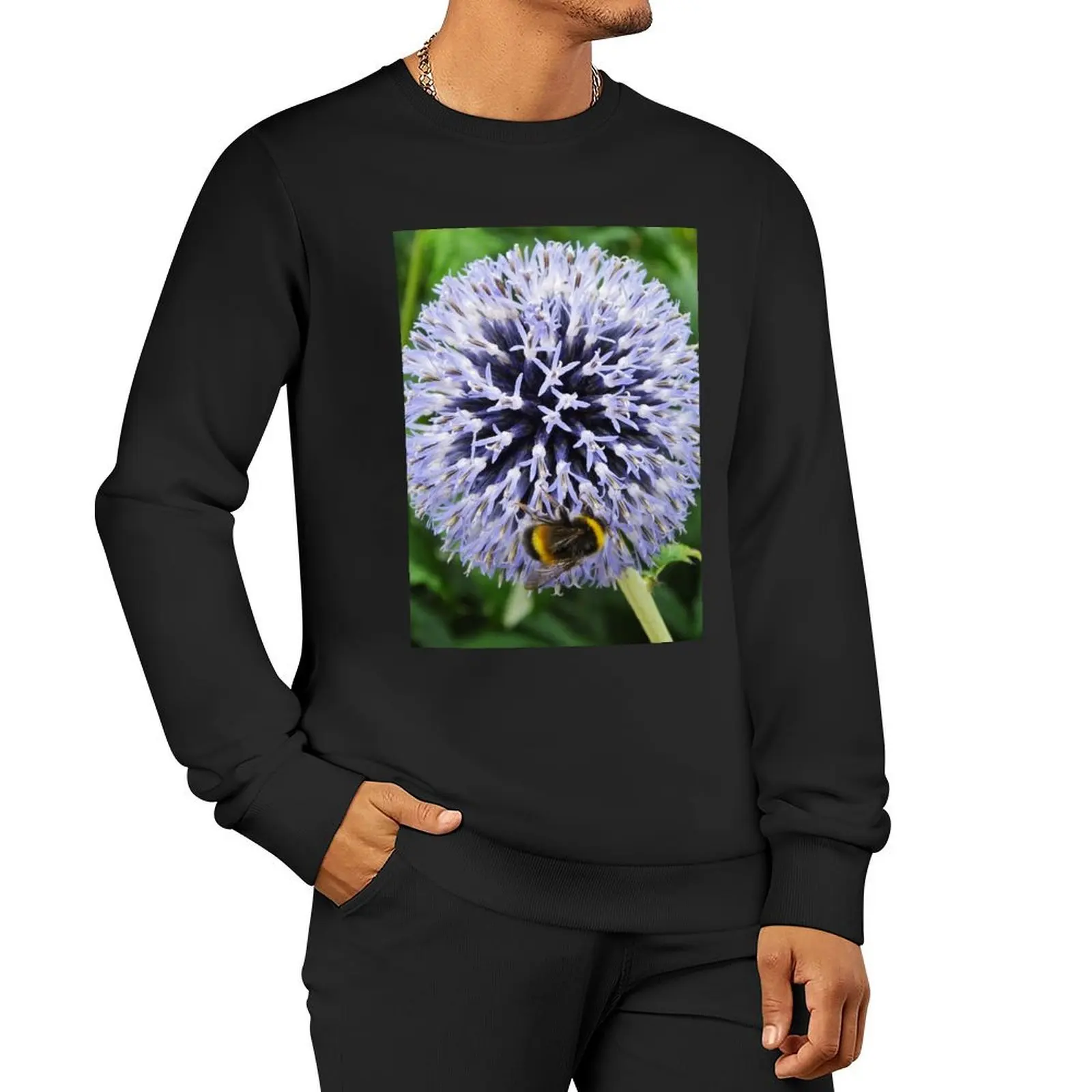 Insect Collecting Pollen From An Echinops Flower Head Pullover Hoodie streetwear men clothes for men hooded sweatshirt for men