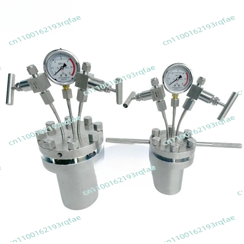 The Reactor Of Hydrothermal Synthesis Autoclave Can Connect Hydrogen With PTFE Lining Pressure Gauge, With A Pressure Of 180C