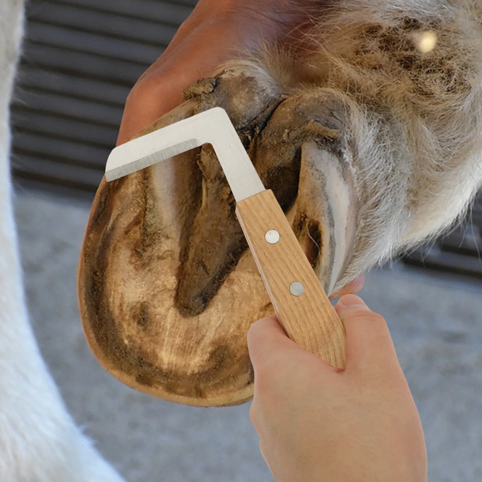 

2 Pcs Hoof Trimming Knife Set Equestrian Supply Tool Brown Wooden Cattle Foot Trimmer