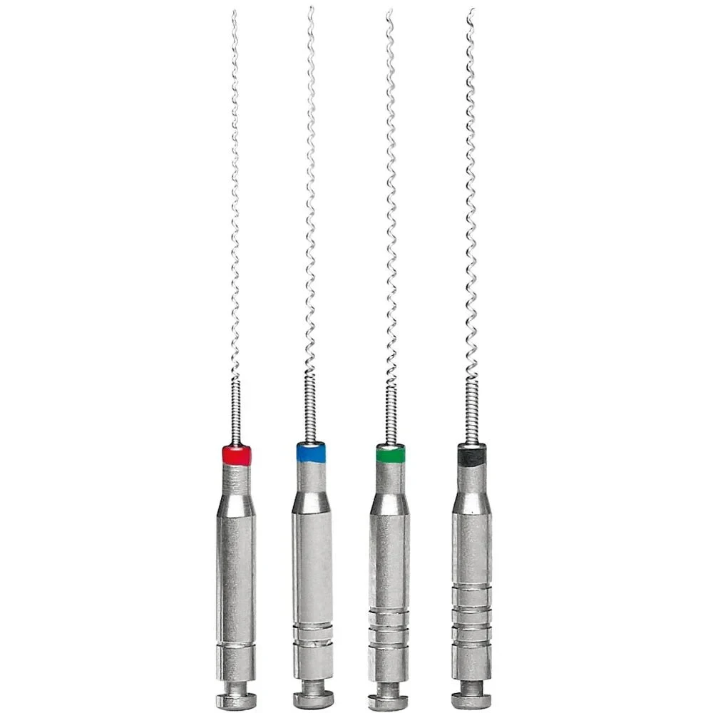 Denspay-Fraises de forage endodontiques dentaires, alésoirs de carauspice, limes endo, matériaux de dentiste, pâte Lentulo, boîte de 4 pièces, 21mm, 25mm