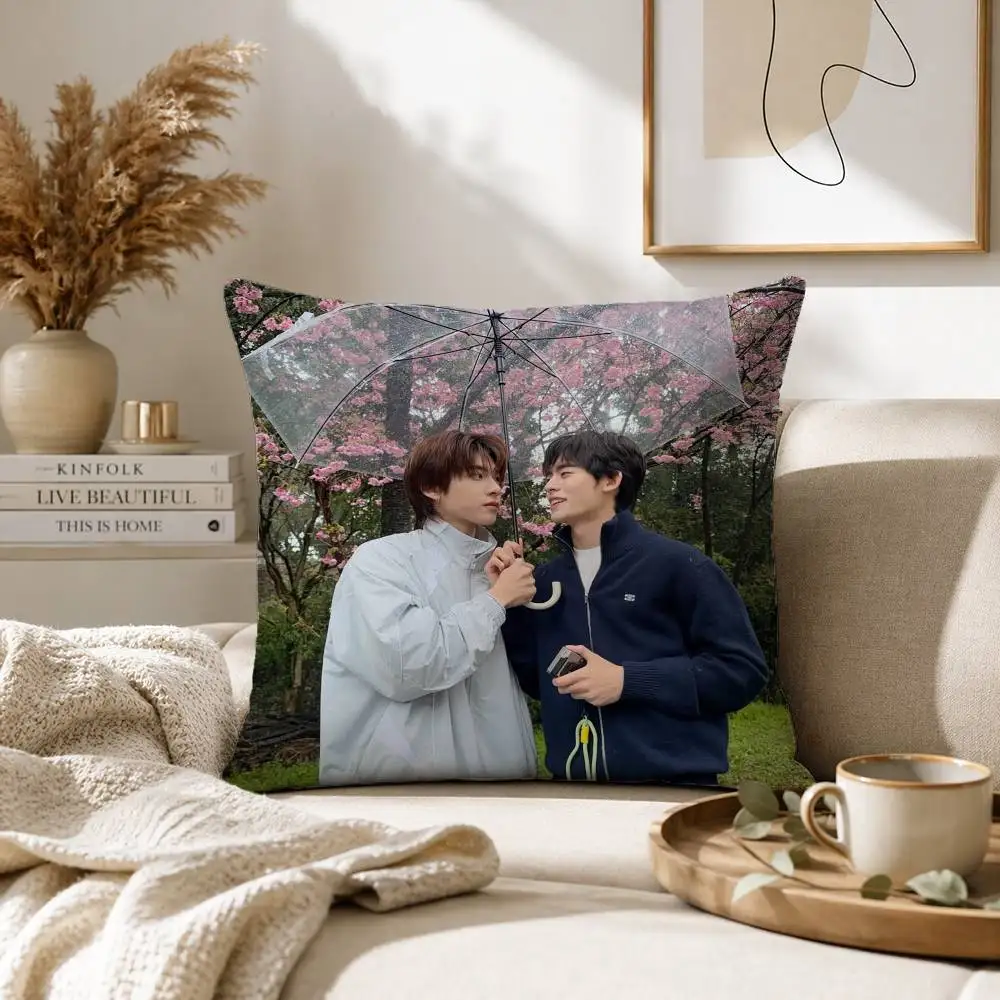BL D-Duang With Youu-u TV Show Pillow Case for Sofa Living Room Home office Decor Protective Cover