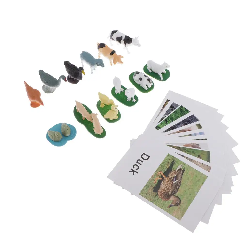 Animals Match Cards, Cognitive Flash Card Animal Figurines, Infant Preschoolers Learning Educational Toys