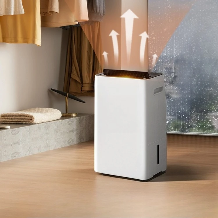 

Free Shipping Home Dehumidifier Silent Bedroom Air Dry Clothes Basement