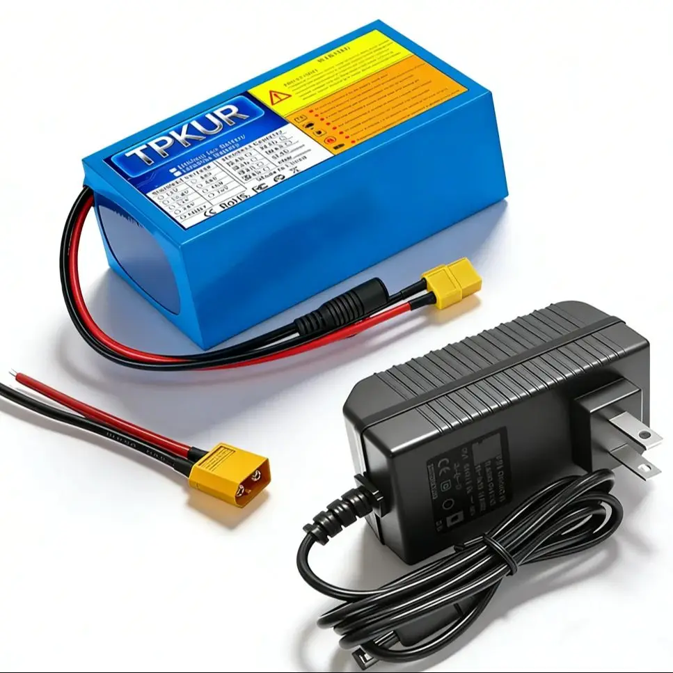 Vollwertiger 24V 12Ah 6Ah 7S4P 18650 Lithium-Ionen-Akku mit BMS, geeignet für 350W-700W elektrische, leichte Pendlerfahrzeuge