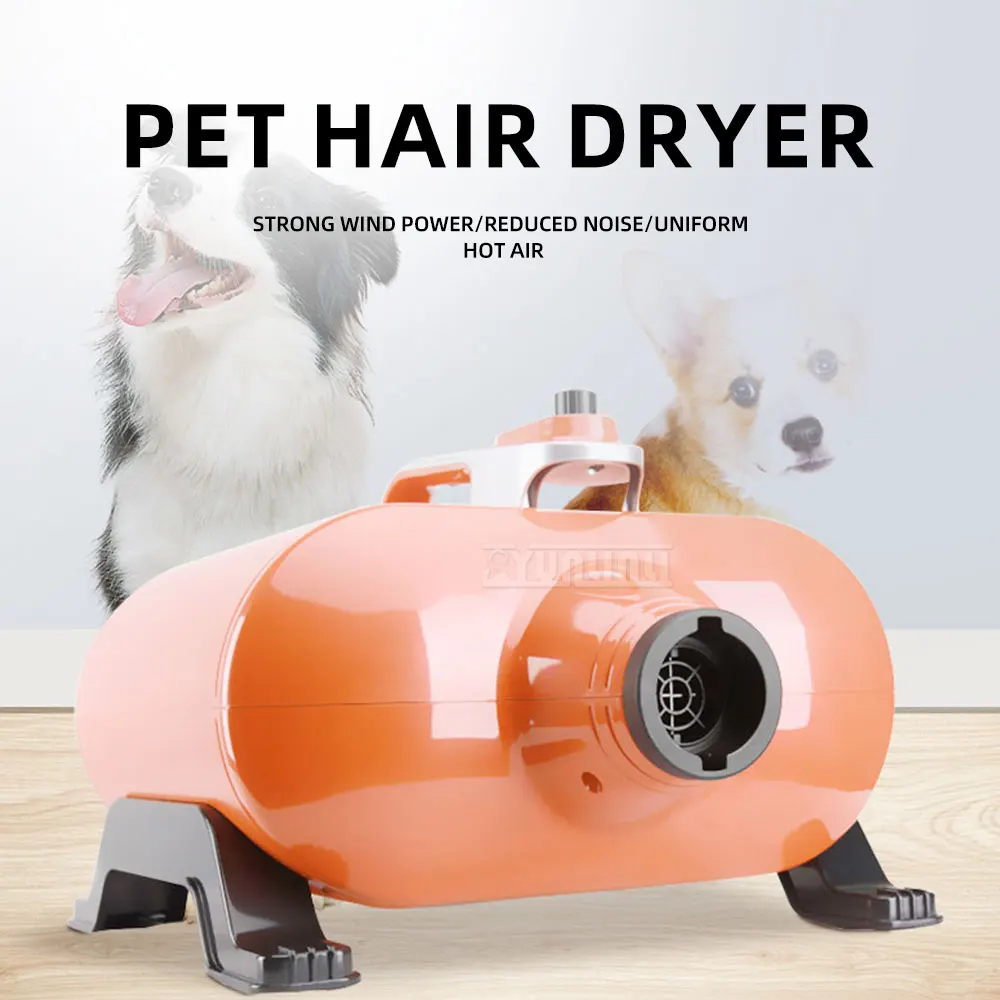 Pet grooming blow dryer for large dogs, dual-motor high-power, suitable for golden retrievers, used in pet shops