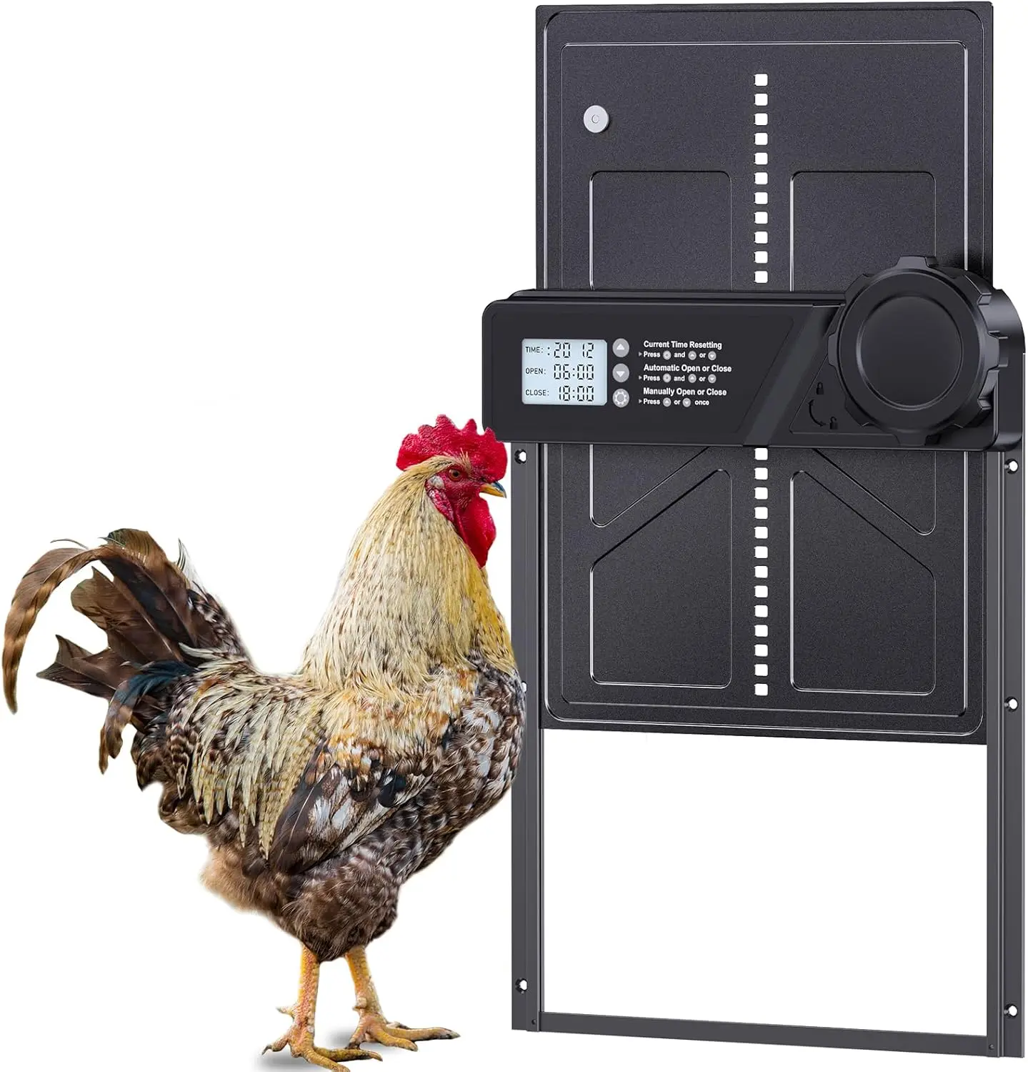 

Automatic Chicken Coop Door AA Battery Powered, Large Size Automatic Chicken Door with LCD Display, Timer Setting Auto Chicken