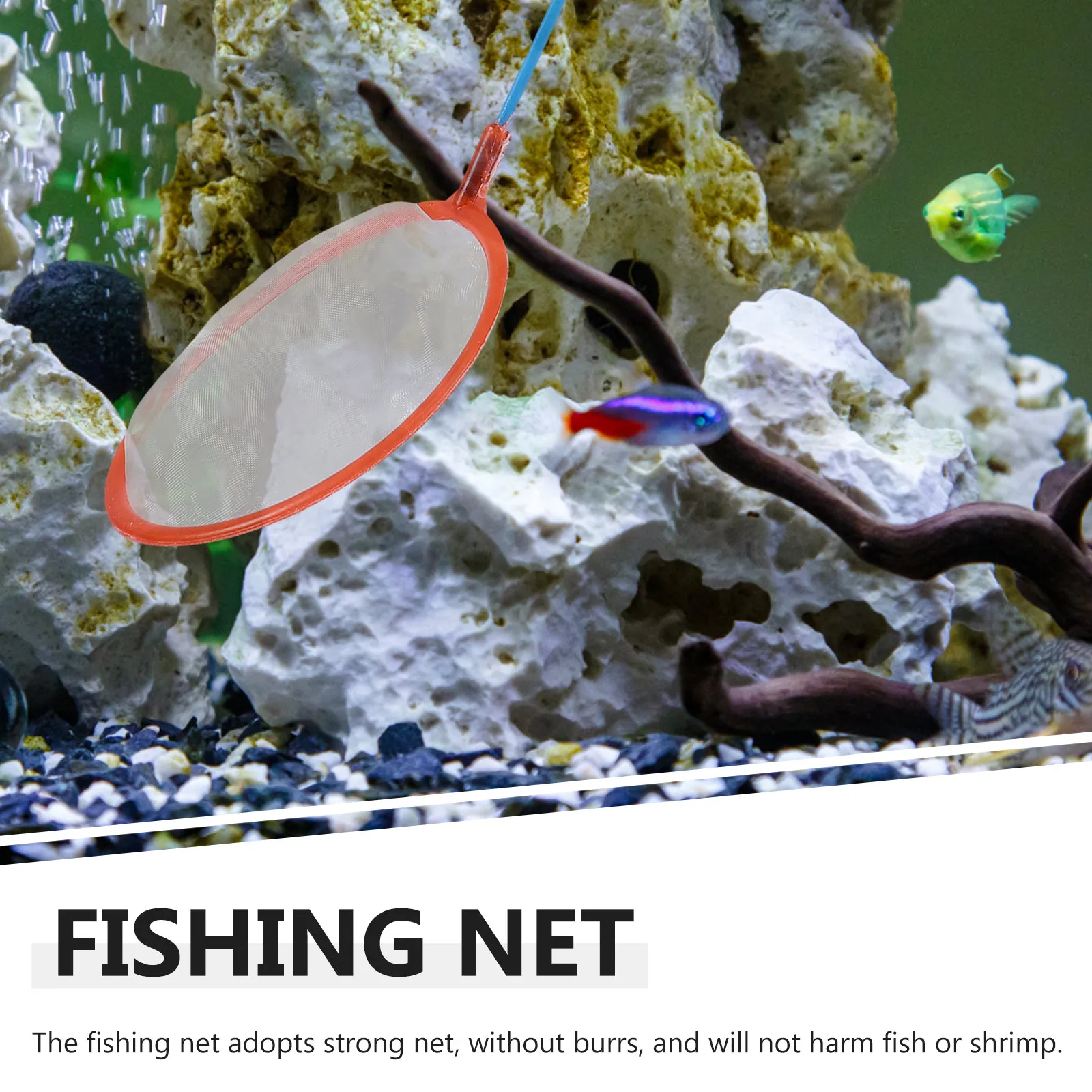 

10Pcs Mini Fishing Nets Strong Mesh No Burr Fish Safe Net for Aquariums Portable Handheld Fish Tank Landing Tool Outdoor