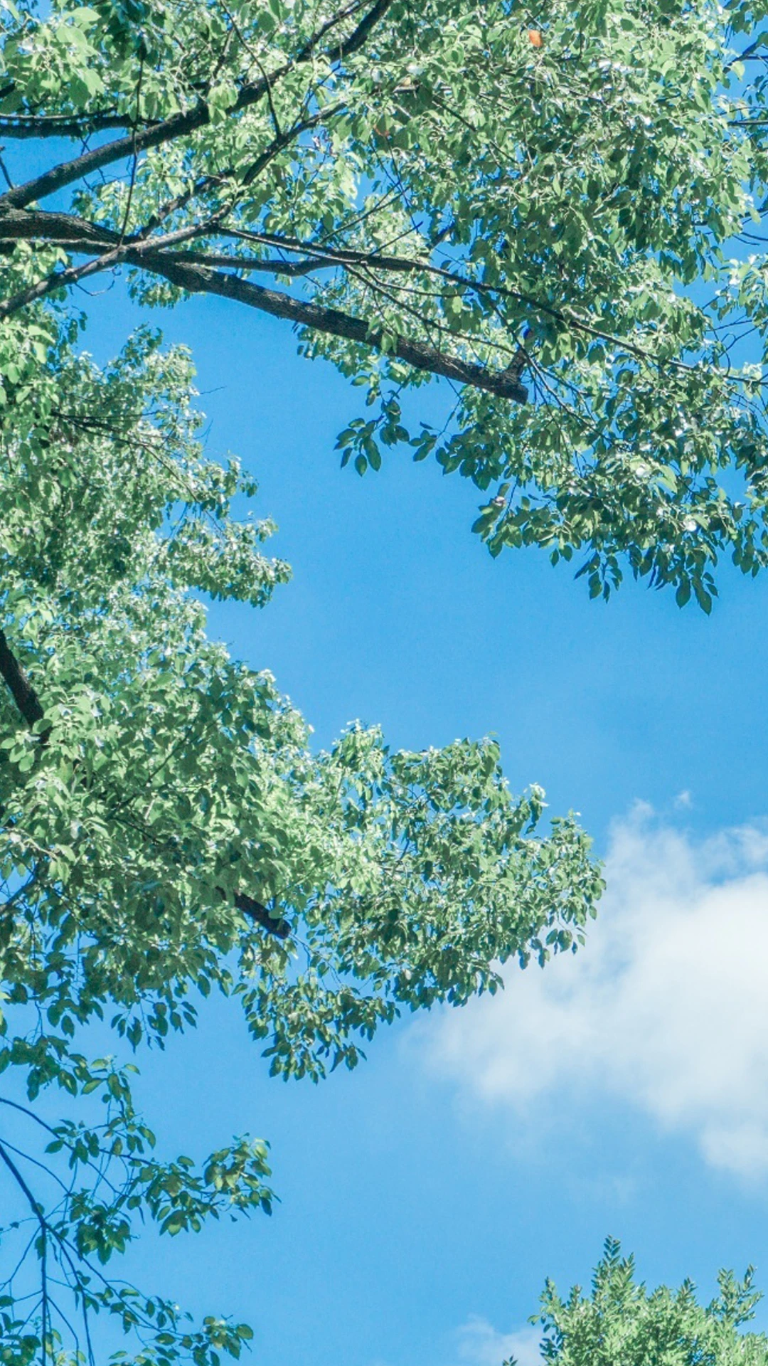 

Android Car Radio For Nissan 370Z 2008-2018 GPS Navigation Auto Stereo Multimedia Video Player Carplay 14.5 Inch Head Unit