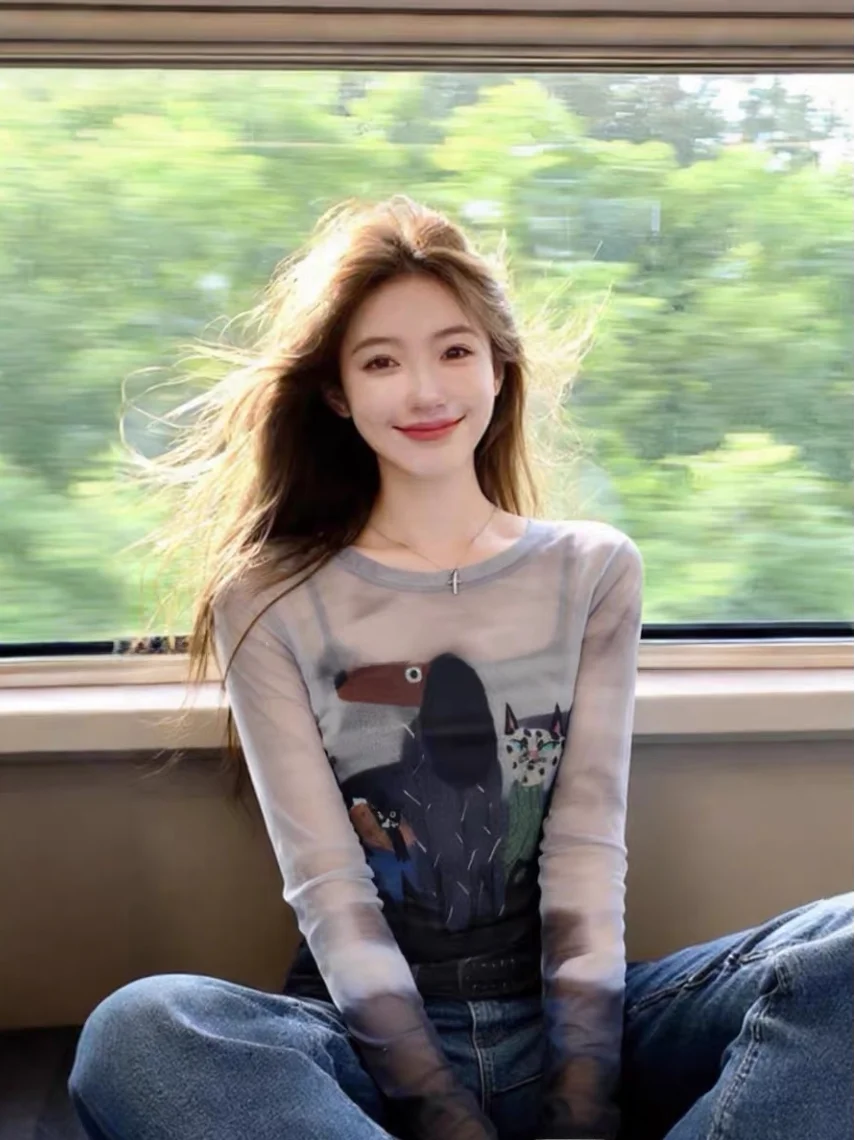 

Spring New Style Women's Graffiti Long Sleeve Mesh T-shirt Thin Transparent Slimming Sun Protection Cover up Commute Style