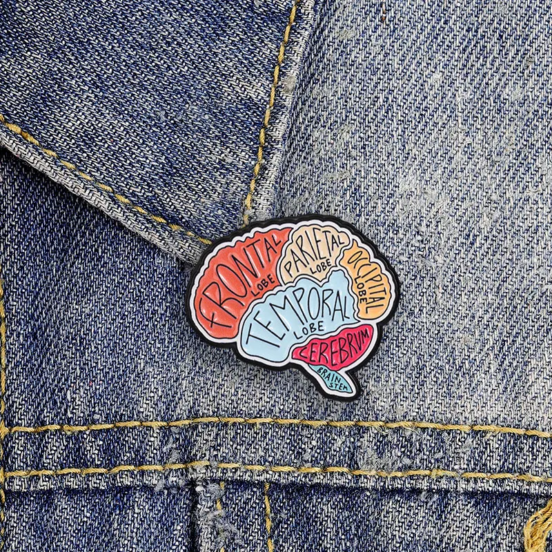Brain Anatomy Lobes Cerebrum Stem Enamel Badge Science Education Diagram Alloy Pin Brooch Jewelry Gifts For Medical Student 2