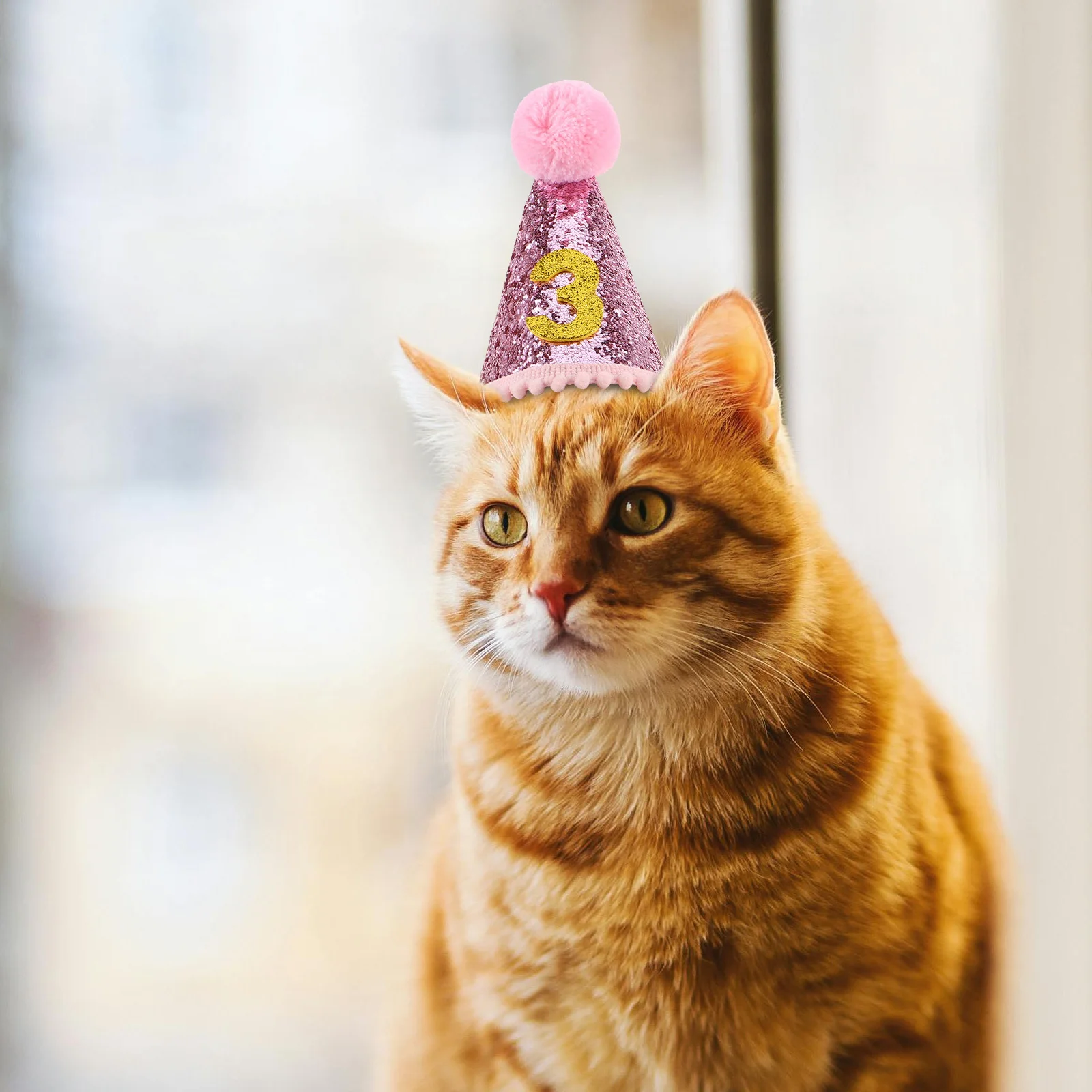 

1Set Pet Birthday Decoration Small Dog Cat Birthday Cone Hat Party Supplies Puppy Kitten Dog Cat Party Hat Decoration for Pets