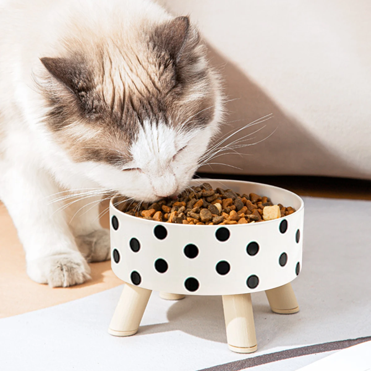 Pet cat and dog plastic bowl with polka dot checkerboard pattern, non-slip and easy to clean