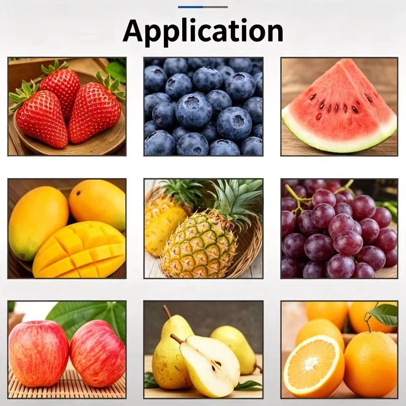 Industrial Guava Juice Making Machine Fruit Orange Slow Cold Press Lemon Juicer Machine Spiral Vegetable Extraction
