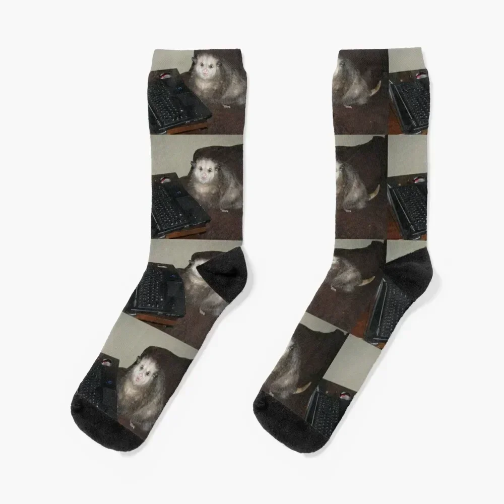 possum on computer pt 2 Socks cool Soccer winter thermal Wholesale Women's Socks Men's