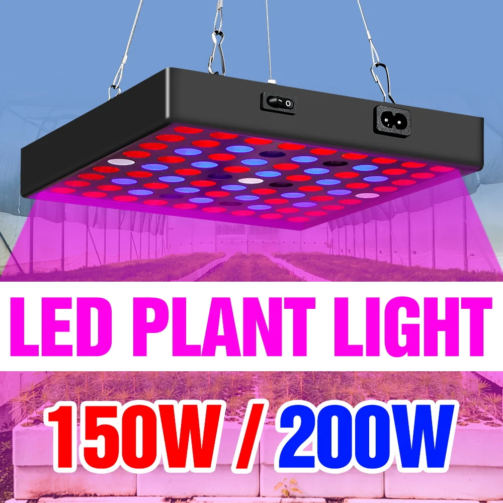 

Светодиодный фитосветильник полного спектра 200 Вт для теплиц, гроубоксов, гидропоники, выращивания суккулентов, цветов, фруктов и овощей