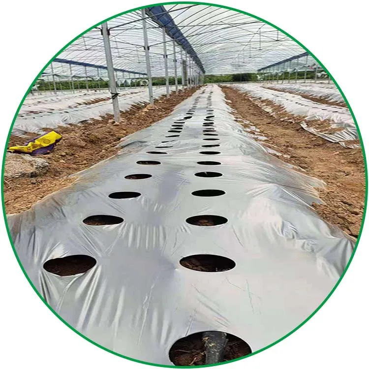 

2025Agricultural Silver Black Plastic Ground Cover Anti Weed Mulch Film Black Mulch Cover