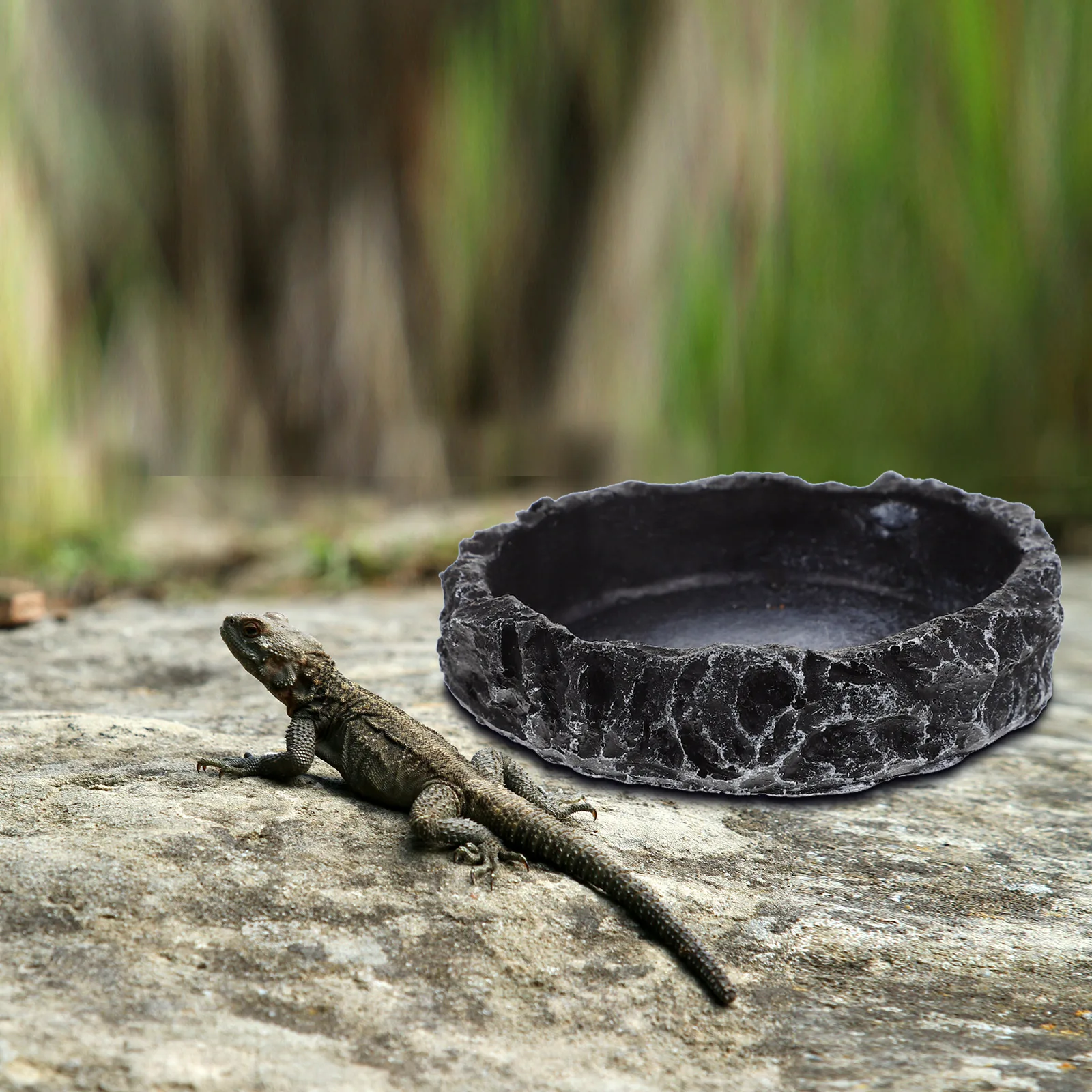 

Reptile Feeder Bowl for Turtle Lizard Snake Wear-Resistant Water Dish Resin Anti Slip Multi Function Pet Supplies