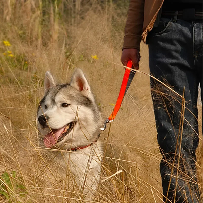 Laisse de printemps en cuir PU pour chiens, courte, pour grands chiens, corde en Nylon, Durable, résistante à la mastication, chaîne pour animaux de