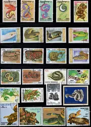 Lot 50pcs Snake Topic Original Stamps with Postage Mark No Repeat Nation Stamp Good Condition