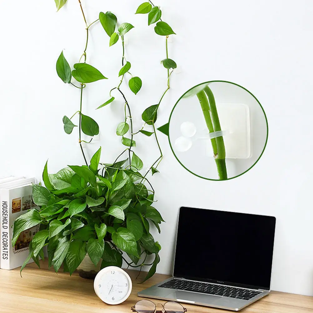 50Pcs Garden Plant Fixing Hooks Self-Adhesive Sticky Wall Mount Clips for Green Plants Flowers Vine Traction Support Gardening