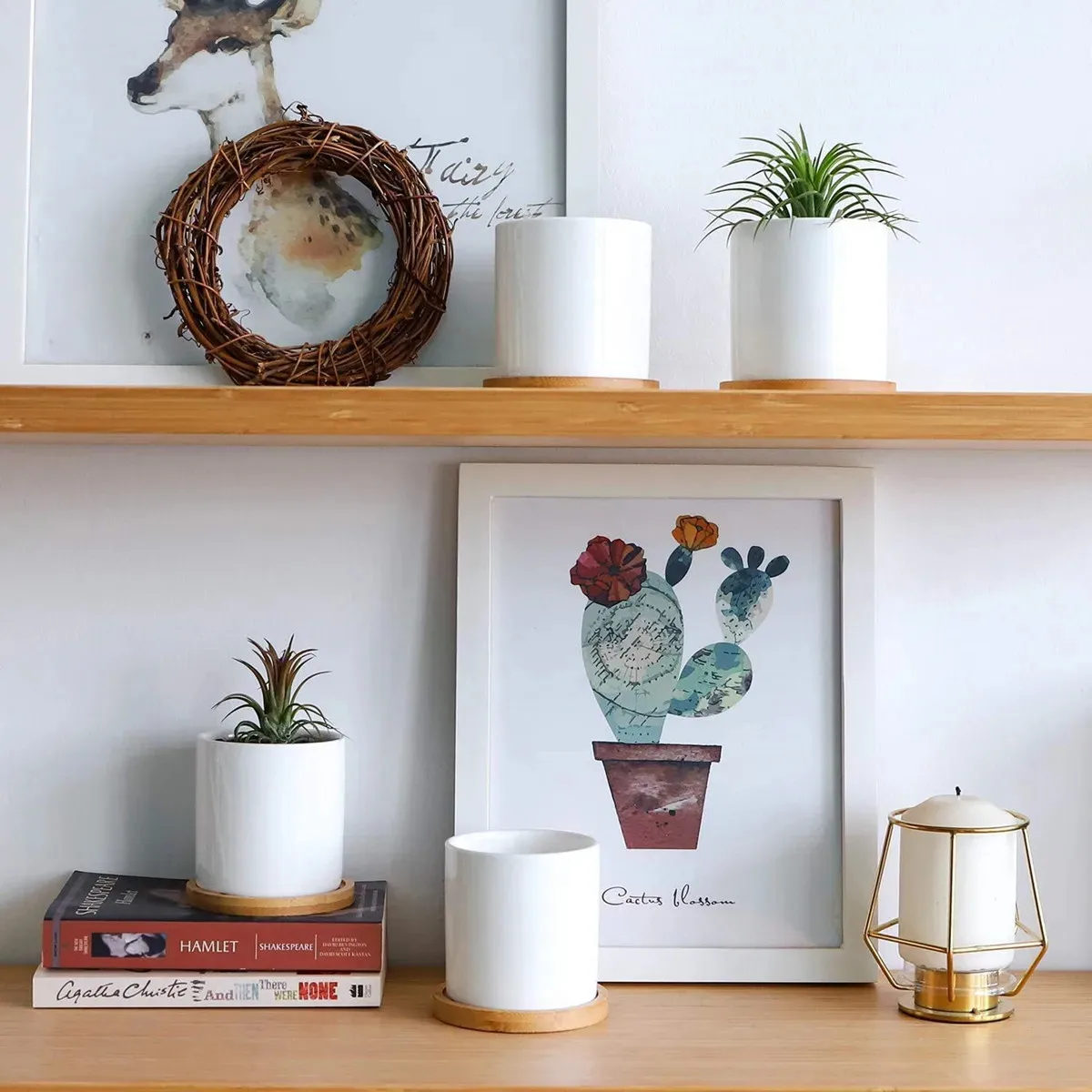 وعاء زراعة الصبار الصغير وفتحة الصرف، وعاء زراعة زهور سيراميك صغير أبيض مع صينية من الخيزران، بوعاء طاولة