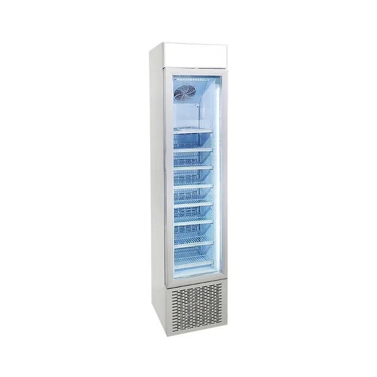 SD105B 105L Slim Upright Frozen Foods Ice Cream Display Freezer for Supermarket