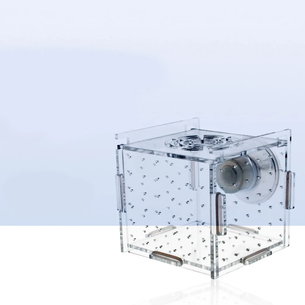 Single Breeding Box Incubator Isolation Hairtail Nursery House Aquarium Accessaries Multi-cell Isolation Net Acrylic Single Cell