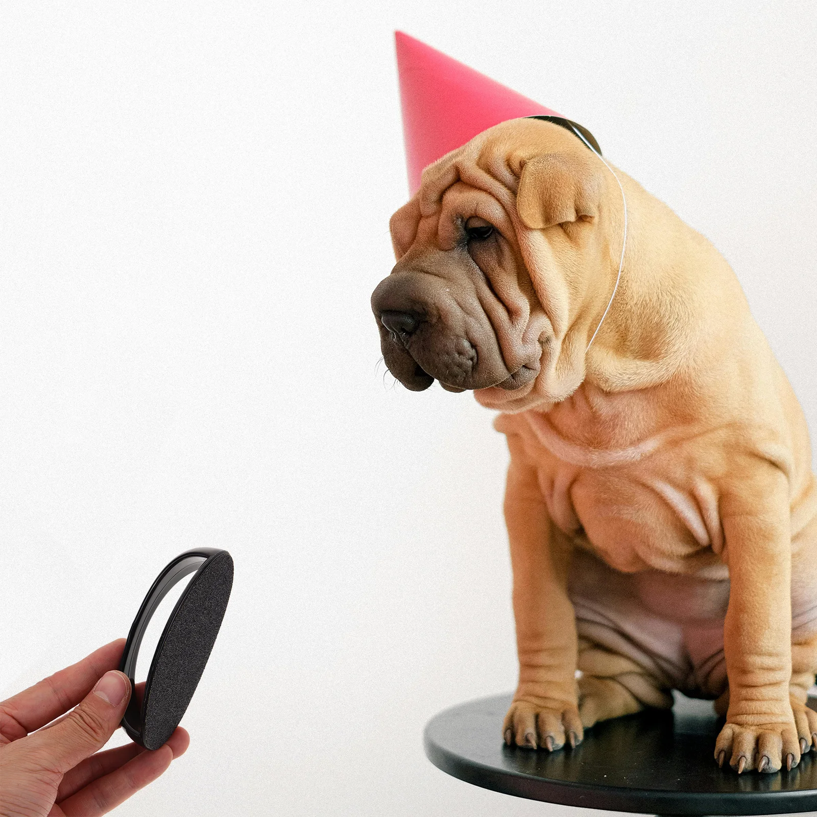 

1Set Pet Nail File Sturdy Ergonomic Handle Replaceable Sandpaper Nail Trimmer Tool for Dogs Cats Dog Paw Grind Tool