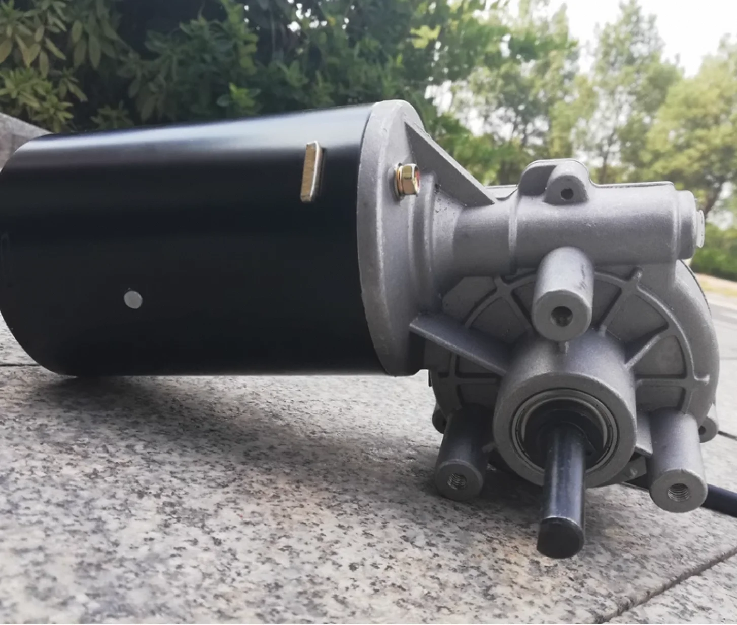 

High-quality 24v 60W 50RPM dual-bearing worm gear reducer motor with self-locking power customizable output