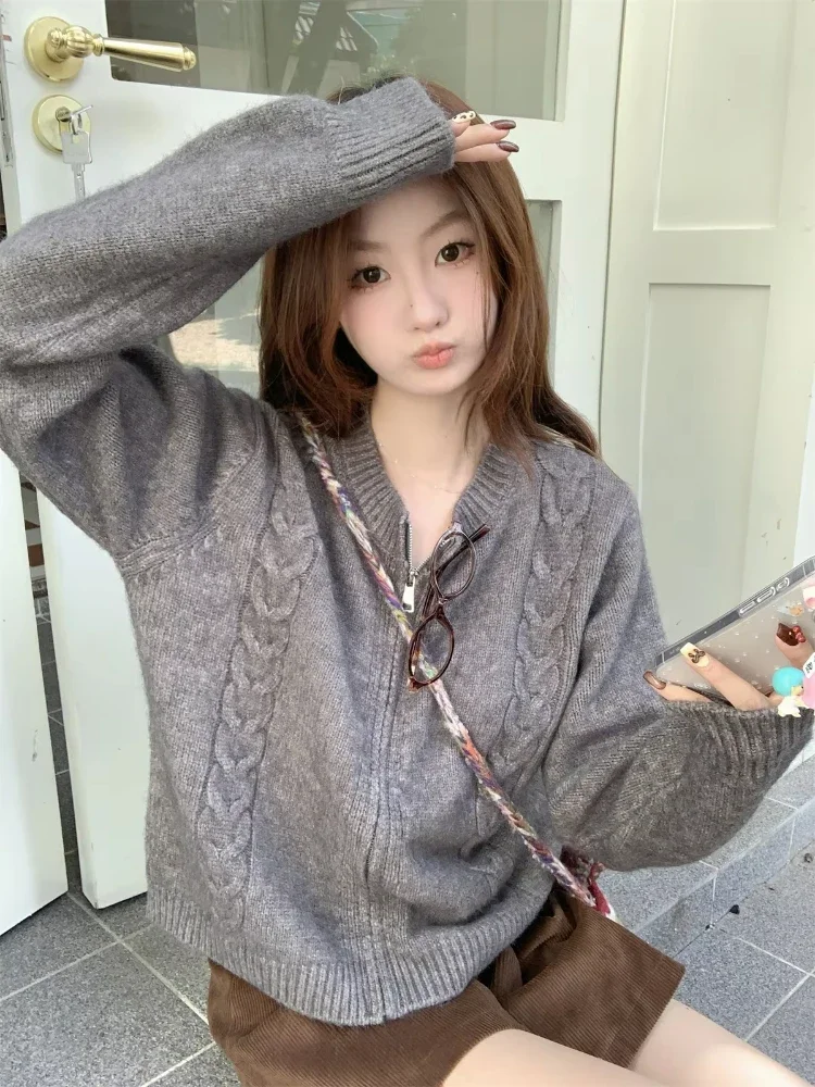 Solid Color Knitted Zipper Cardigan Autumn Winter Korean Version Arctic Fleece Loose Long Sleeved Sweater Jacket Warm Coat 2024