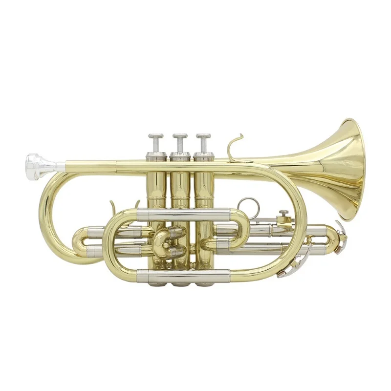 

Hooqu Cornet In B Flat Brass Tube Gold And Silver Two-tone Palm Number Pocket Trumpet Mini Trumpet Three Tone Horn