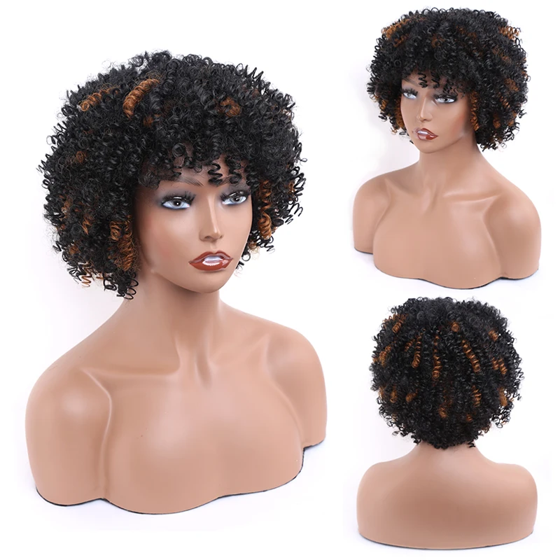 

Amir Synthetic Short Curly Wigs for Women Afro Wig Natural Bouncy Kinky Hair Wigs Black Brown Party Daily Heat Resistant