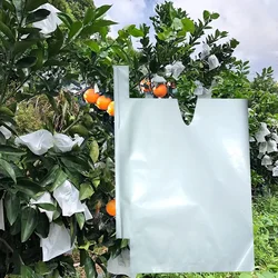 100/200PCS Fruit Protection Paper Bags For Peach Grapes Paper Bags Against Insect Pouch Waterproof Pest Control