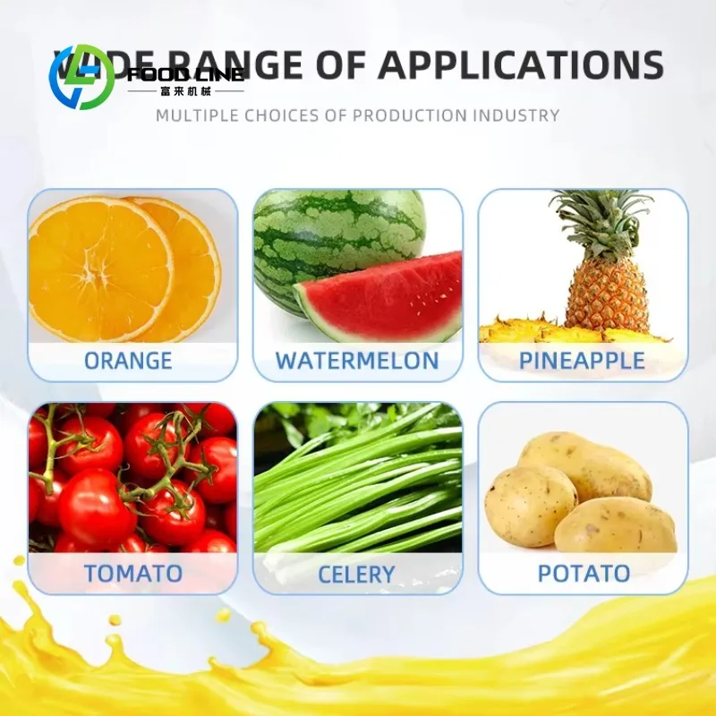 Customized size Industrial juicer/fruit and vegetable machine juicer