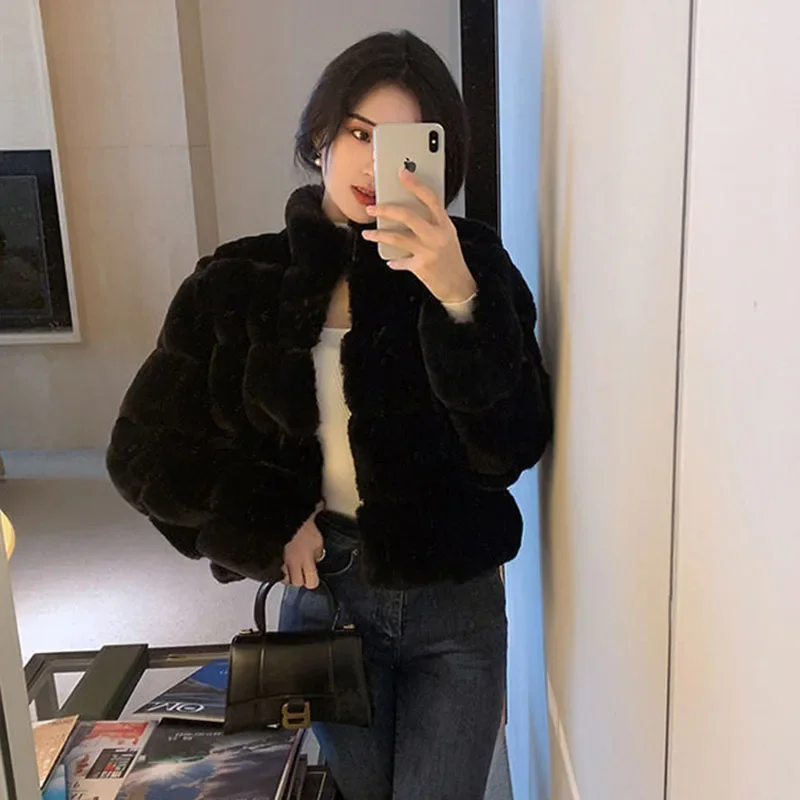 Mode Imitation fourrure lapin en peluche tempérament manteau court femme vison fourrure manteau ample femme hiver JJ559