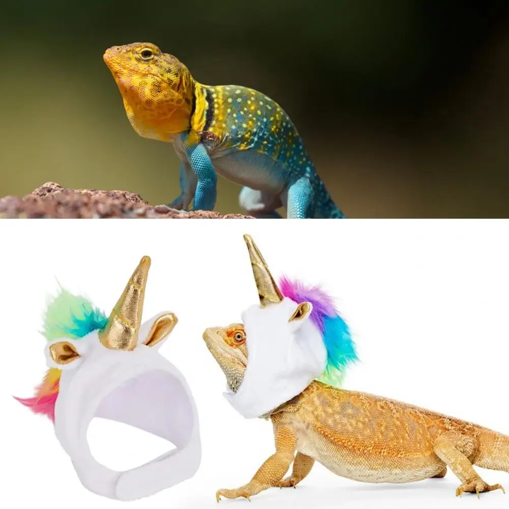 Adjustable Size Breathable Reptile Apparel, Lizard Hat, Headgear, Headdress Shape Fastener Tape, Clothes Outfits, Pet Headgear