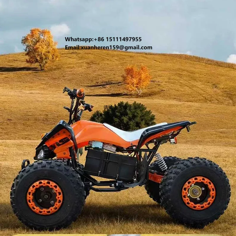 New Adult Off-Road Beach Four-Wheel Rear 500W Electric Motor Motorcycle 40-60km/h