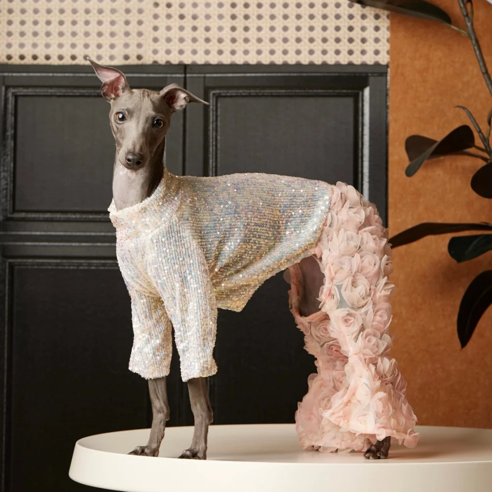 

Весенний комбинезон для итальянской болонки с сетчатыми вставками, украшенными искусственным жемчугом и стразами, розовые брюки, белый топ с пайетками, костюм для собаки-женщины